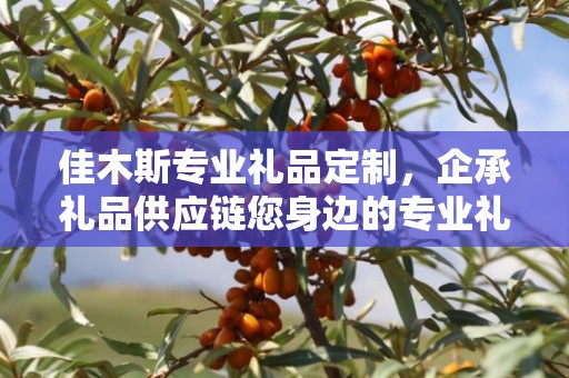 佳木斯专业礼品定制，企承礼品供应链您身边的专业礼品定制公司